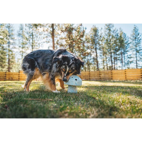 Ruffwear Porchini™ Bitring Flerfärgad