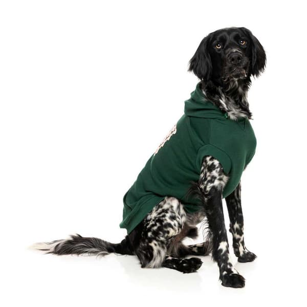 Fuzzyard Treats Hundehættetrøje Grøn 7