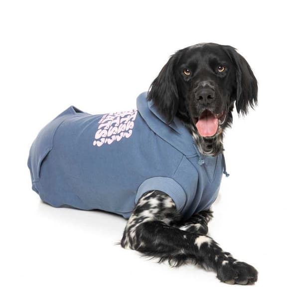 Fuzzyard Treats Hundtröja Med Luva Blå 7