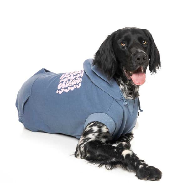 Fuzzyard Treats Hundtröja Med Luva Blå 7