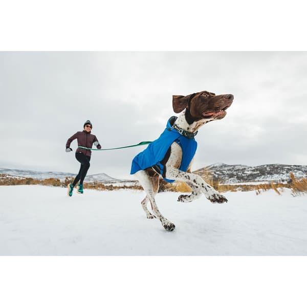 Ruffwear Vert™ Koiran Takki Sininen L