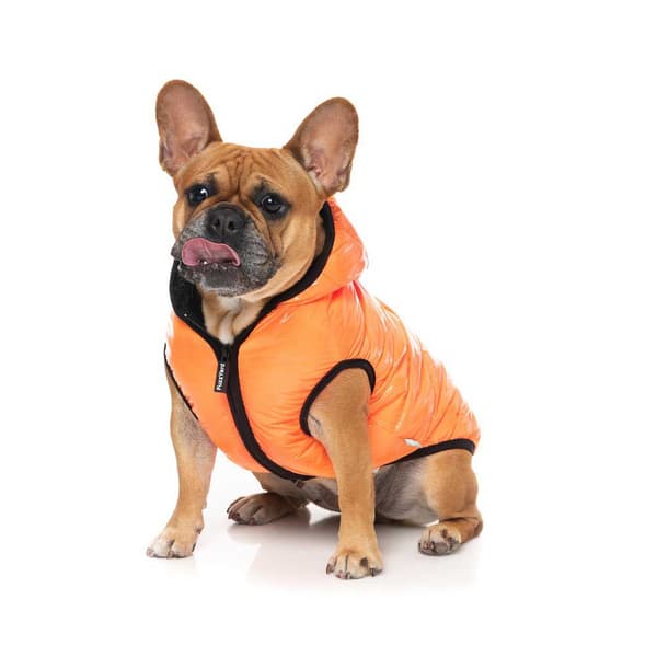 Fuzzyard Aeon Hundehættetrøje Orange 7