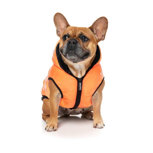 Fuzzyard Aeon Hundehættetrøje Orange 7