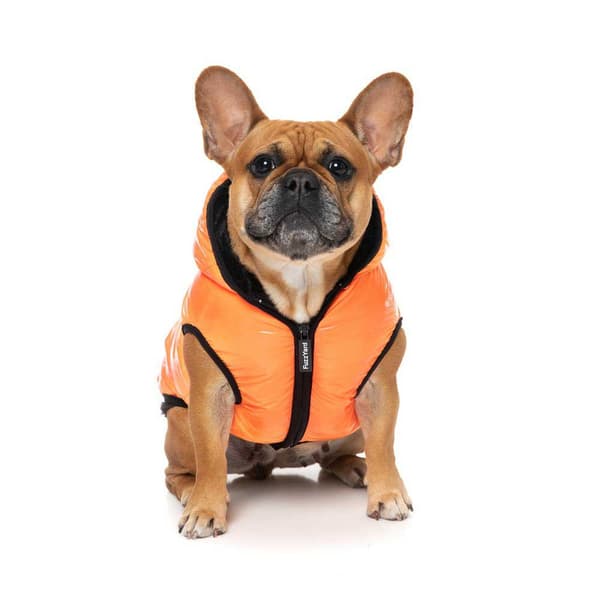 Fuzzyard Aeon Hundehættetrøje Orange 7