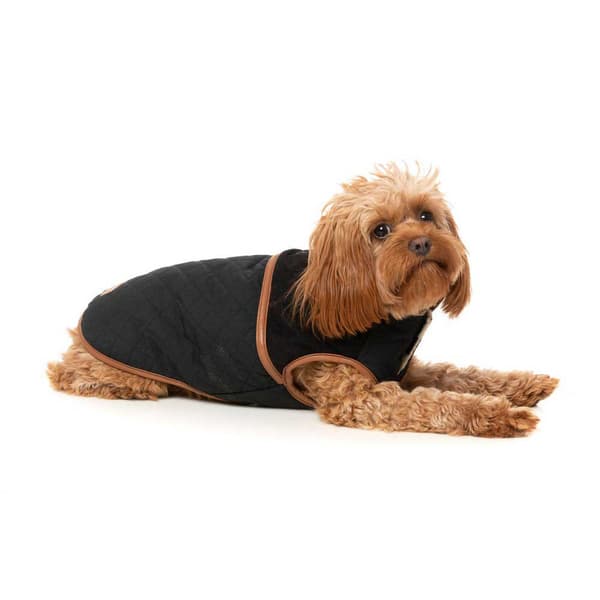 Fuzzyard Ivanhoe Hundjacka Brun 7
