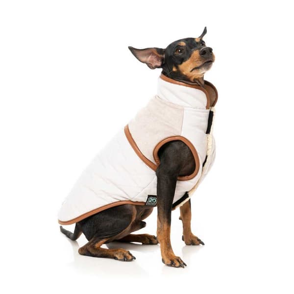 Fuzzyard Ivanhoe Hundjacka Beige 6