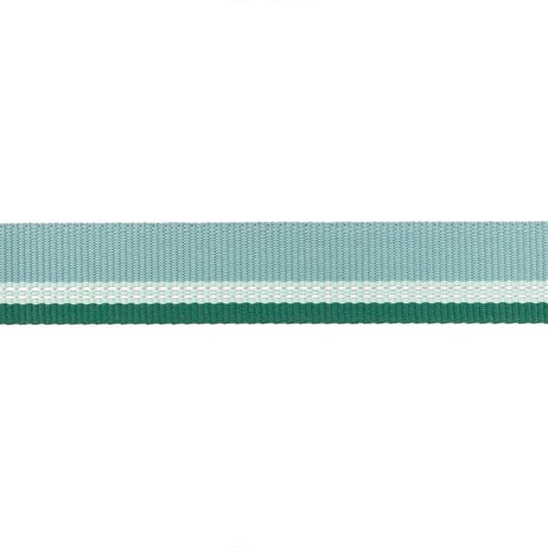 Ruffwear Top Rope™ Krage Grönt 279-355 mm