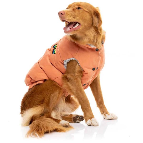 Fuzzyard Ashbury Hundjacka Orange 6