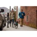 Pikkukuva 7 / 8: Ruffwear Stumptown Tilkuttu Koiran Takki Harmaa 2XS