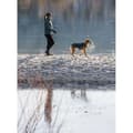 Miniatyrbillede 7 af 8: Ruffwear Stumptown™ Fleece Grå 2XS