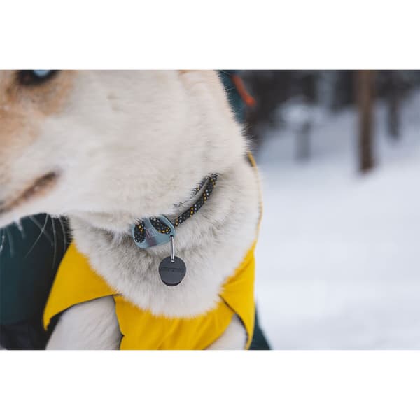 Ruffwear Vert™ Hundjacka Gul S