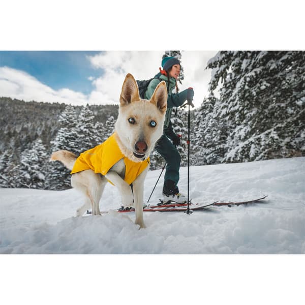 Ruffwear Vert™ Hundjacka Gul S