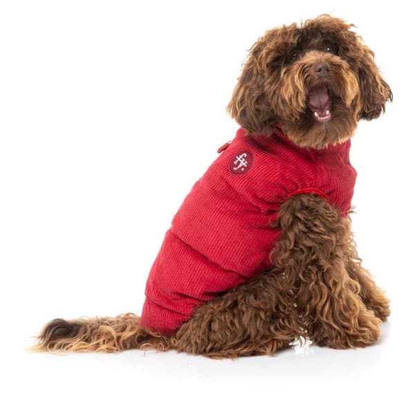 Fuzzyard Mosman Puffer Hundejakke Rød 5