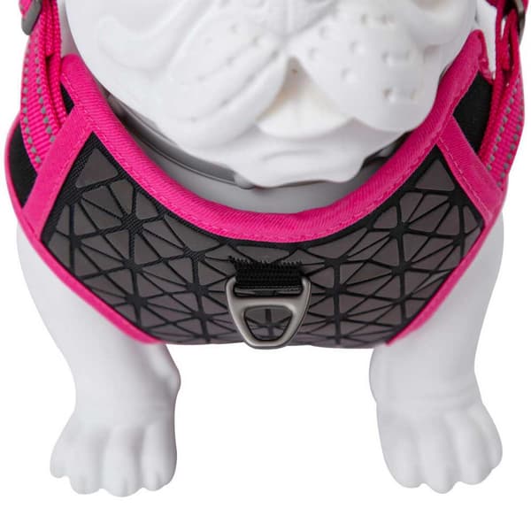 Freedog Boreal Sele Rosa 25 mm x 45-90 cm