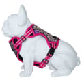 Miniatyrbillede 1 af 2: Freedog Boreal Sele Rosa 25 mm x 45-90 cm