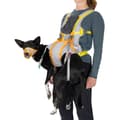 Pikkukuva 6 / 10: Ruffwear Backtrak™ Evakuointipakkaus Oranssi M