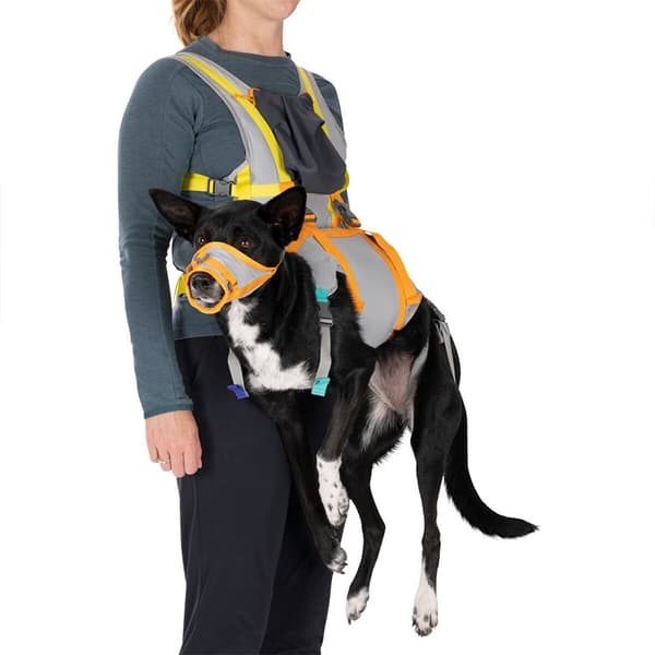 Ruffwear Backtrak™ Evakuointipakkaus Oranssi M