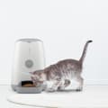 Miniatyrbillede 2 af 2: Petoneer automatisk foderautomat til kæledyr med kamera og app-styring - 3,7L