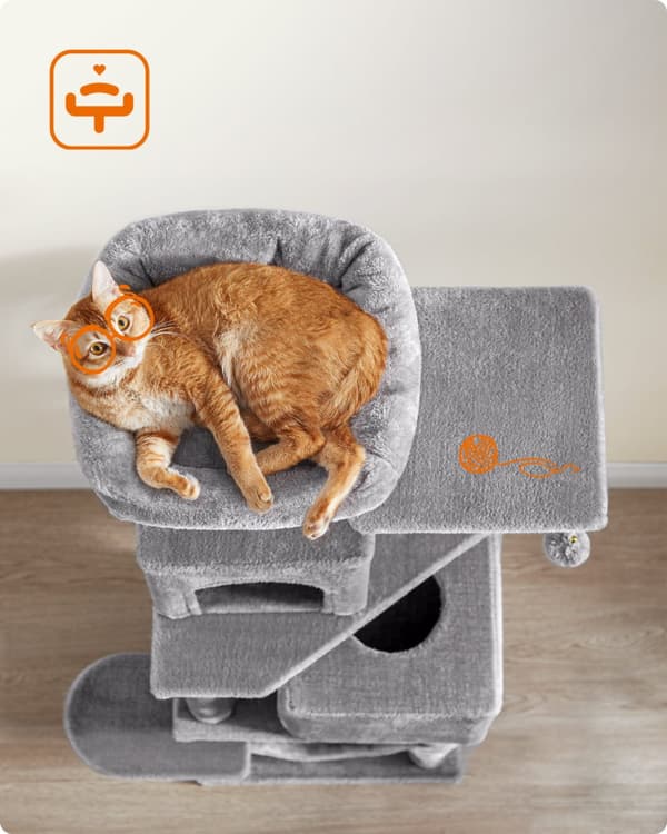 Scratcher - PCT192W01