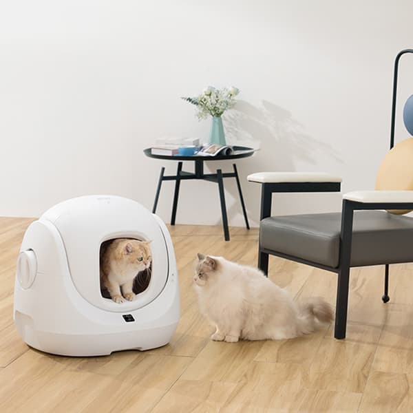 Catlink selvrensende kattebakke BayMax - Automatisk rengøring, 7L kapacitet