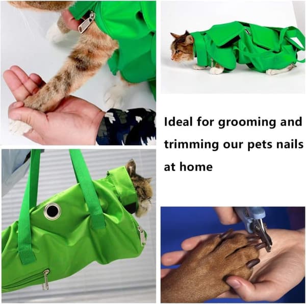 Foldbar, Multi-Size, Multifunktionel Pet Taske - Sort, Grøn