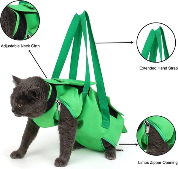 Foldbar, Multi-Size, Multifunktionel Pet Taske - Sort, Grøn