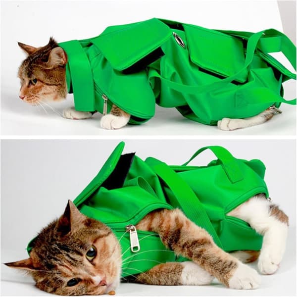 Foldbar, Multi-Size, Multifunktionel Pet Taske - Sort, Grøn