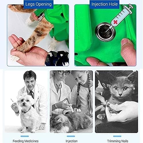 Foldbar, Multi-Size, Multifunktionel Pet Taske - Sort, Grøn