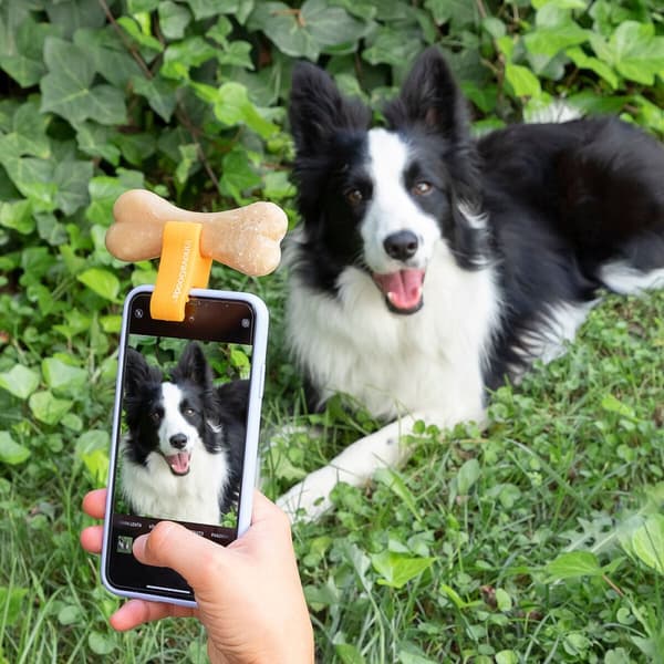 Selfieklämma för husdjur Pefie InnovaGoods