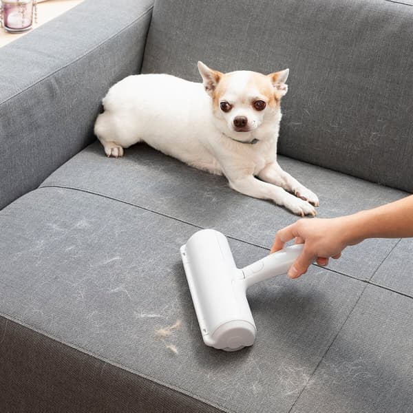 Roller för borttagning av husdjurshår Rellair InnovaGoods