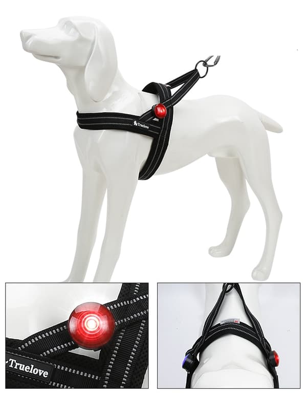 Truelove LED-selelampe PREMIUM rød, lys, lommelygte