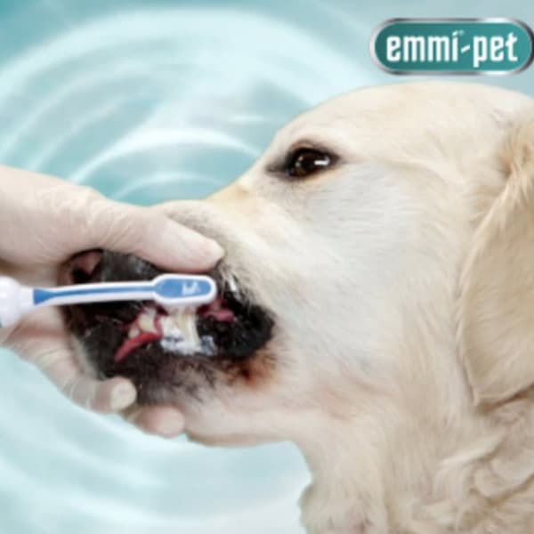emmi®-pet PRO Ultraljudstandborste för hundar