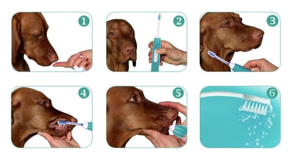 emmi®-pet PRO Ultraljudstandborste för hundar