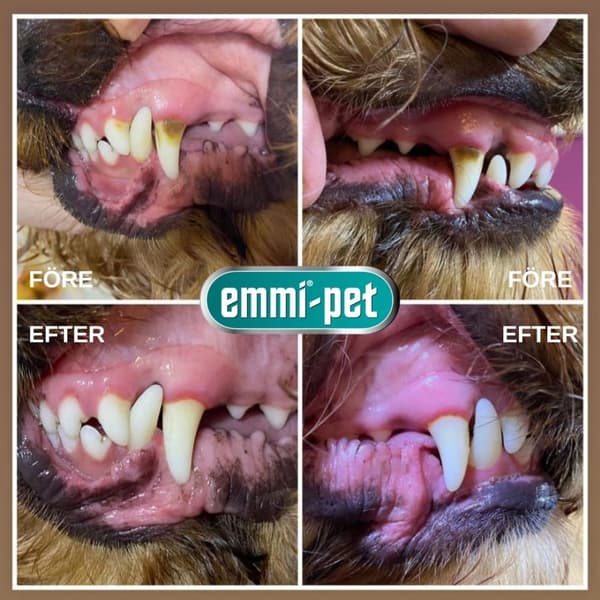emmi®-pet PRO Ultraljudstandborste för hundar