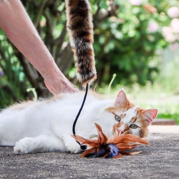 Kattfiskespö med päls och fjädrar Slitstark och robust leksak 62 cm
