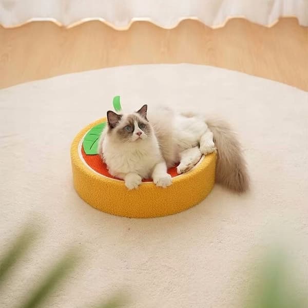 Rund klösbädd för katter orange 39 cm