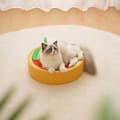 Miniatyrbild 7 av 11: Rund klösbädd för katter orange 39 cm