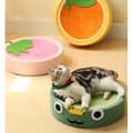 Miniatyrbild 9 av 11: Rund klösbädd för katter orange 39 cm