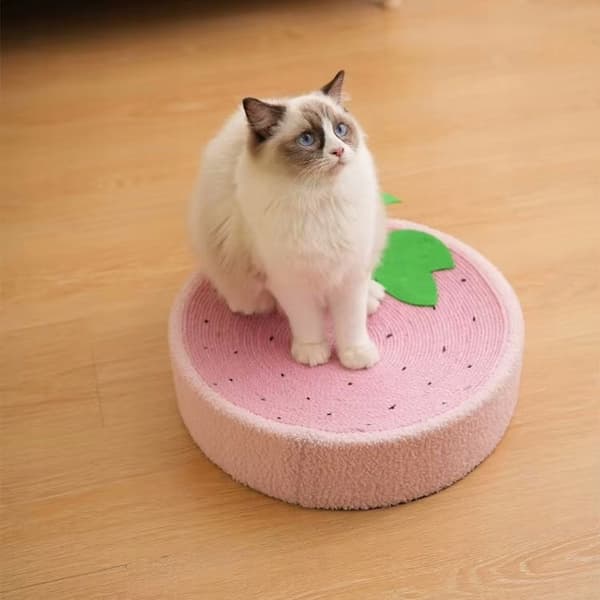 Rund klösbädd för katter orange 39 cm