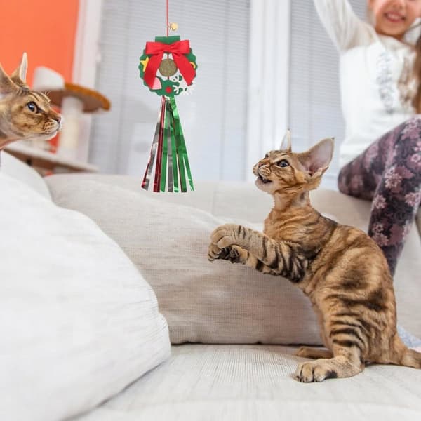 Julegave til katte med guirlande, monteret på vinduesrammen