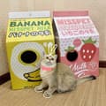 Pikkukuva 4 / 11: Raapimispuu kissan pahvipedille korealainen KARTONKI MANSIKKAMAITO