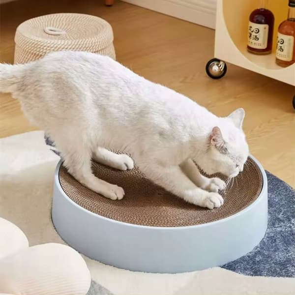 Klösträd för katter, stor rund kartongbädd, 45 cm