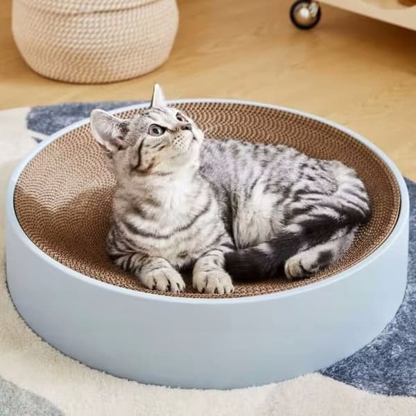 Klösträd för katter, stor rund kartongbädd, 45 cm
