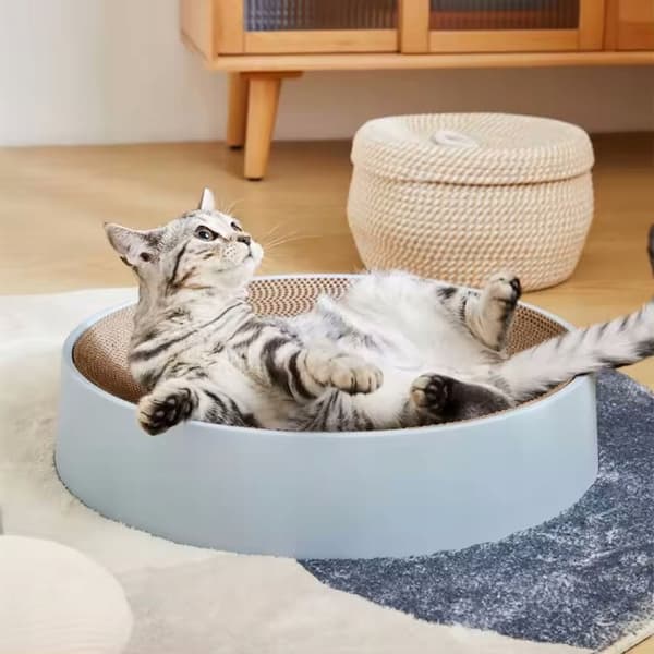 Klösträd för katter, stor rund kartongbädd, 45 cm