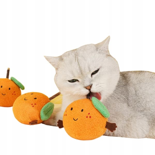 ORANSSIN Kissanlelu kepillä Matatabi