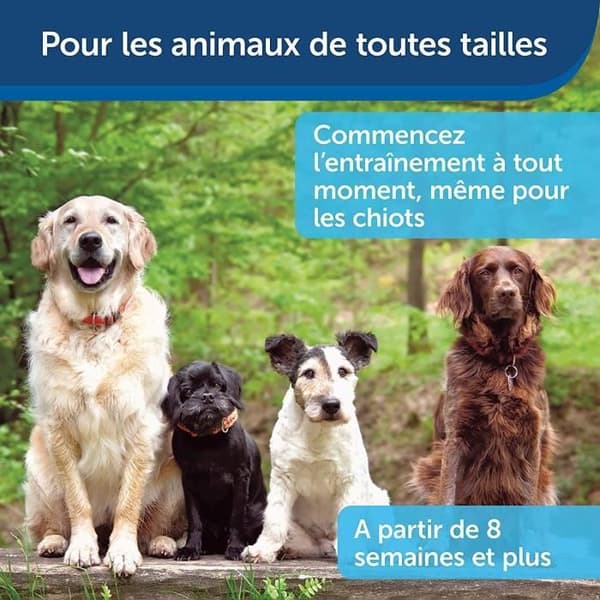 PetSafe Clik-R Clicker för hundträning, med träningsinstruktioner - för valpar 8 veckor och uppåt