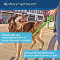 Miniatyrbild 2 av 6: PetSafe Clik-R Clicker för hundträning, med träningsinstruktioner - för valpar 8 veckor och uppåt