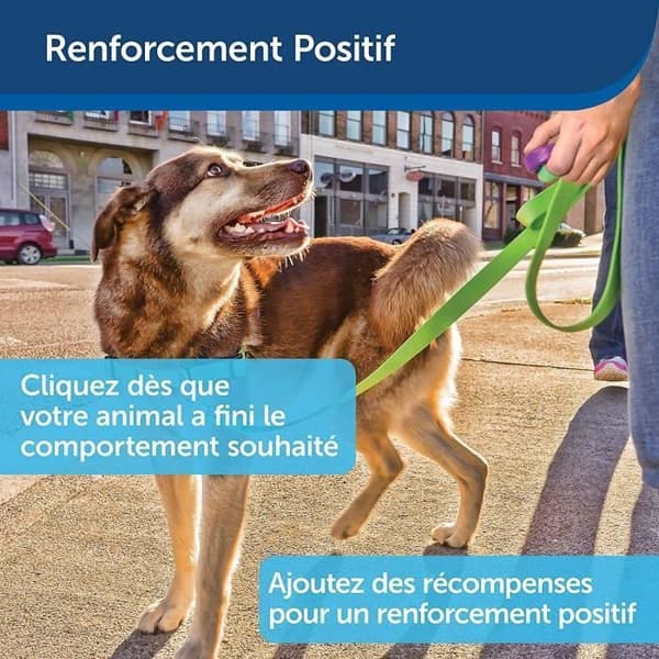 PetSafe Clik-R Clicker för hundträning, med träningsinstruktioner - för valpar 8 veckor och uppåt
