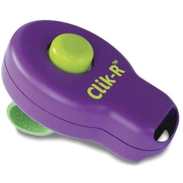 PetSafe Clik-R Clicker för hundträning, med träningsinstruktioner - för valpar 8 veckor och uppåt