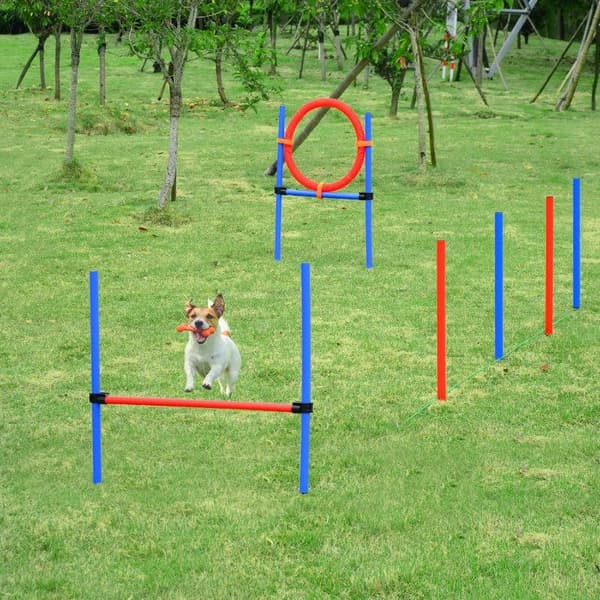 Rootz Pet Agility-setti - Koiran agilityharjoitusvälineet - Agilityharjoitussetti - Koiran agilitysetti - Koiran pujottelu aitahyppyrengas - Sininen/p